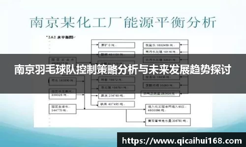南京羽毛球队控制策略分析与未来发展趋势探讨